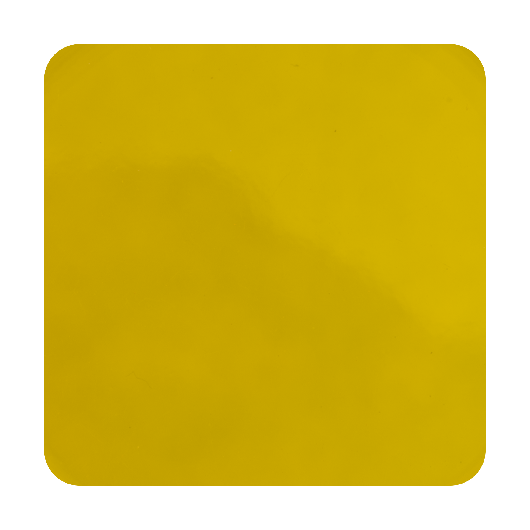 ACRYLIC Golf Ball Markers